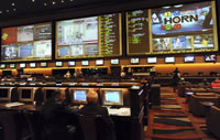 Red Rock Race And Sports Book